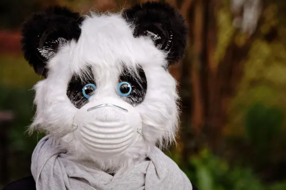 BetOriginal Kasyno Wsparcie